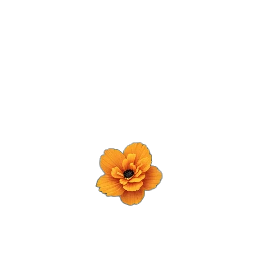 flower, jewelry, crown, hat transparent PNG cut-out