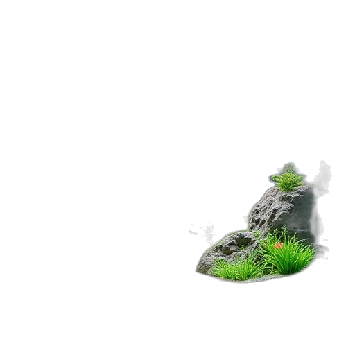 dragon, sword, tree, creature transparent PNG cut-out