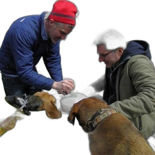 animal, two, men, feed transparent PNG cut-out