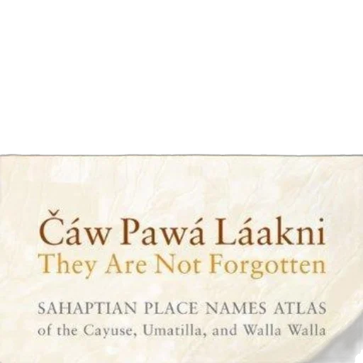 cover, čáw, pawá, láakni transparent PNG cut-out