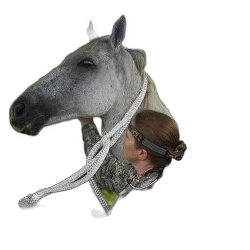 hat, staff, animal, creature transparent PNG cut-out