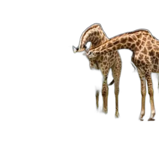 animal, creature, staff, weapon transparent PNG cut-out