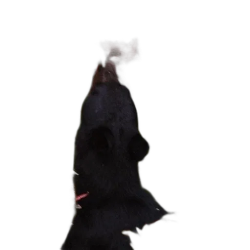 umbrella, staff, hat, jacket transparent PNG cut-out