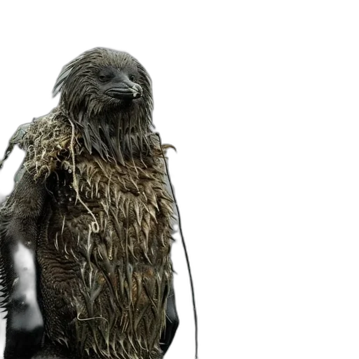 animal, creature, hair, staff transparent PNG cut-out