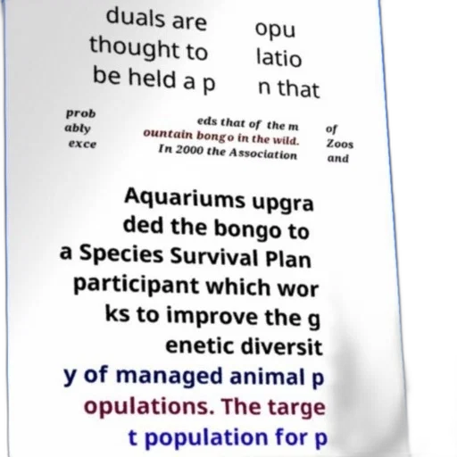 poster, text, about, mountain transparent PNG cut-out