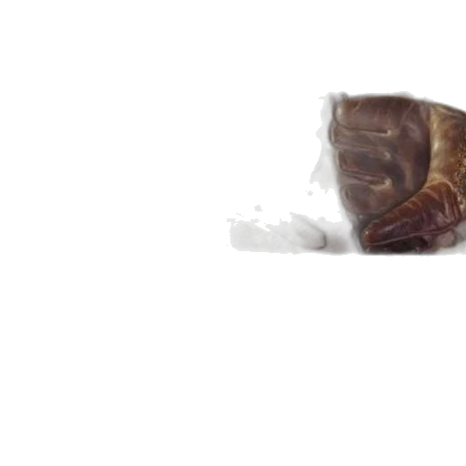 hair, animal, creature, face transparent PNG cut-out