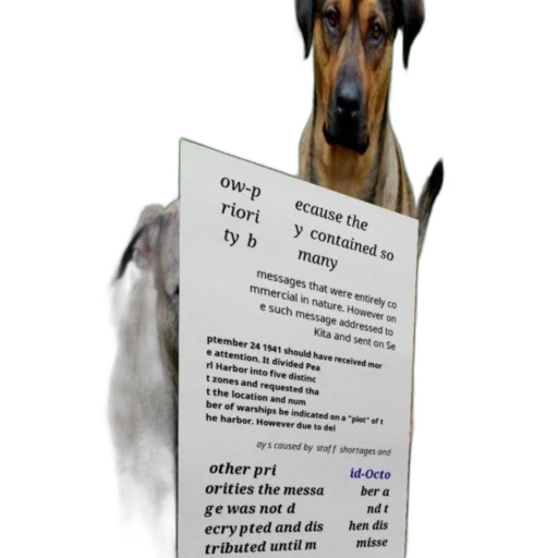 animal, staff, creature, robot transparent PNG cut-out