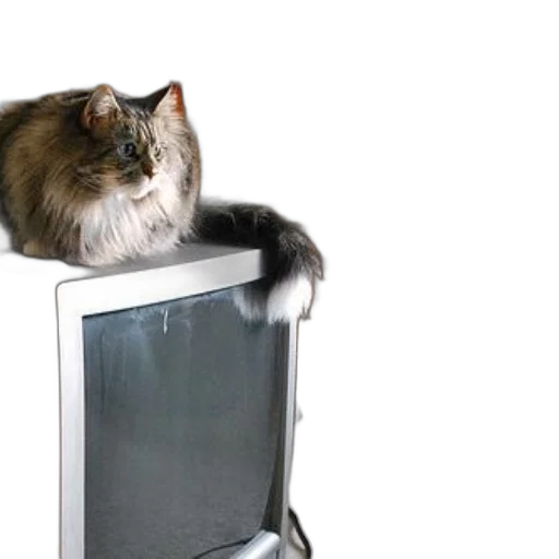 furniture, animal, robot, bottle transparent PNG cut-out