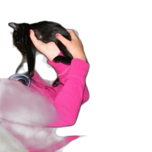 hair, animal, creature, hat transparent PNG cut-out