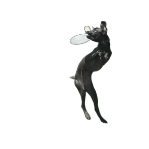 animal, staff, creature, umbrella transparent PNG cut-out