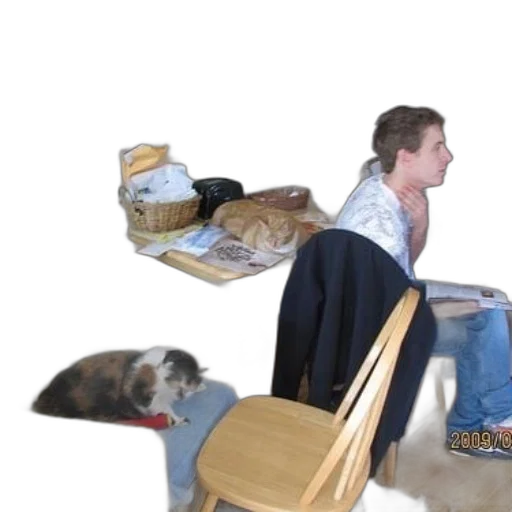 furniture, animal, creature, shoes transparent PNG cut-out