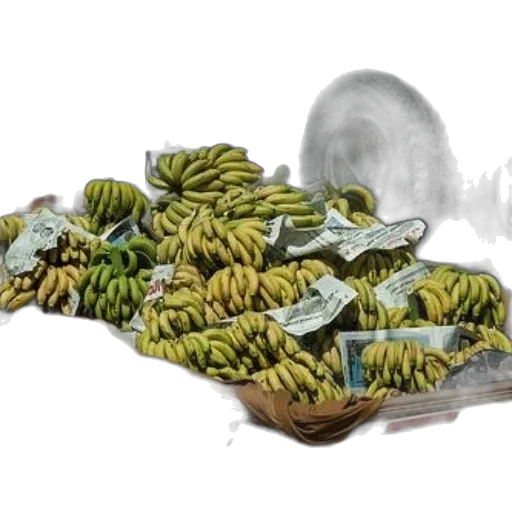 food, shoes, dragon, jewelry transparent PNG cut-out