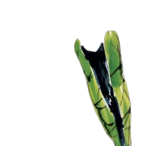 shoes, weapon, umbrella, bottle transparent PNG cut-out