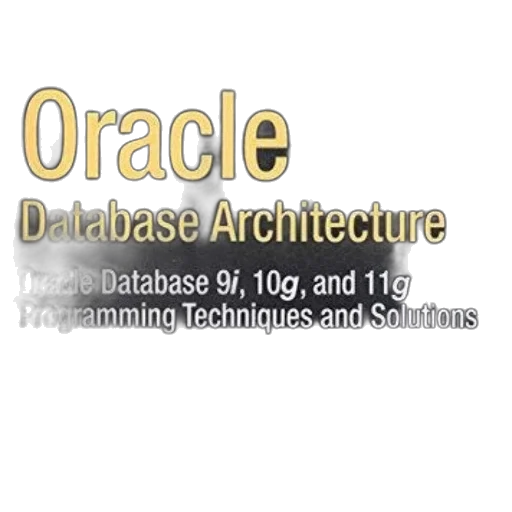 expert, oracle, database, architecture transparent PNG cut-out