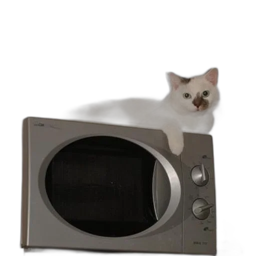animal, furniture, robot, creature transparent PNG cut-out