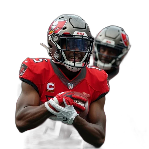 tampa, bay, buccaneers, celebrate transparent PNG cut-out