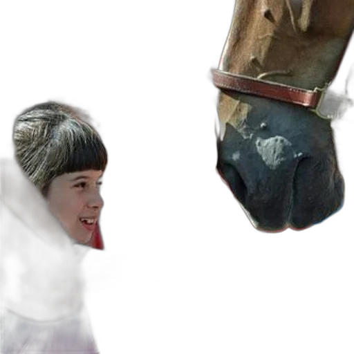 animal, creature, shoes, face transparent PNG cut-out