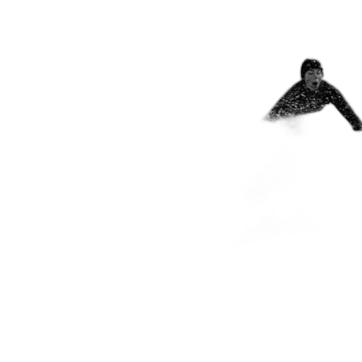 animal, shoes, creature, dragon transparent PNG cut-out