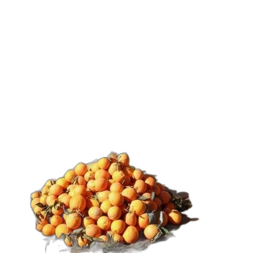 crown, food, jewelry, hair transparent PNG cut-out
