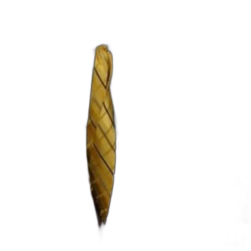 jewelry, staff, crown, hair transparent PNG cut-out