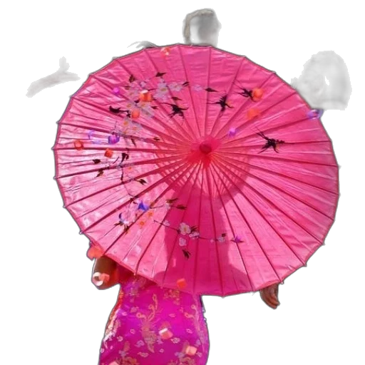 umbrella, hat, staff, dress transparent PNG cut-out