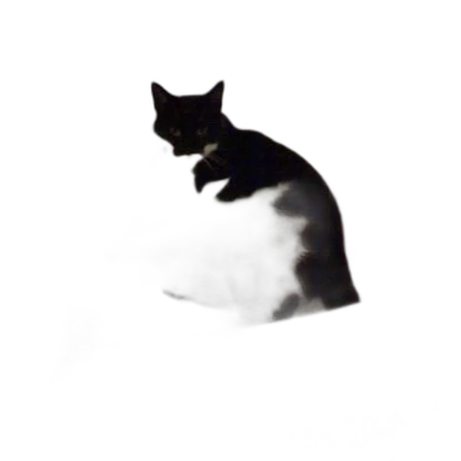 animal, creature, staff, hat transparent PNG cut-out