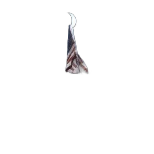 hair, staff, shoes, creature transparent PNG cut-out