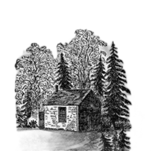 building, furniture, tree, jacket transparent PNG cut-out