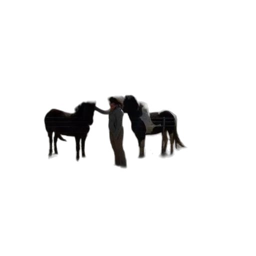 animal, furniture, jewelry, staff transparent PNG cut-out