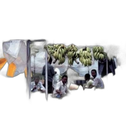 umbrella, food, photorealistic, concept art transparent PNG cut-out