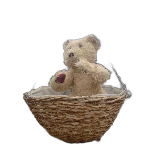 food, 3d render, teddy, bear transparent PNG cut-out