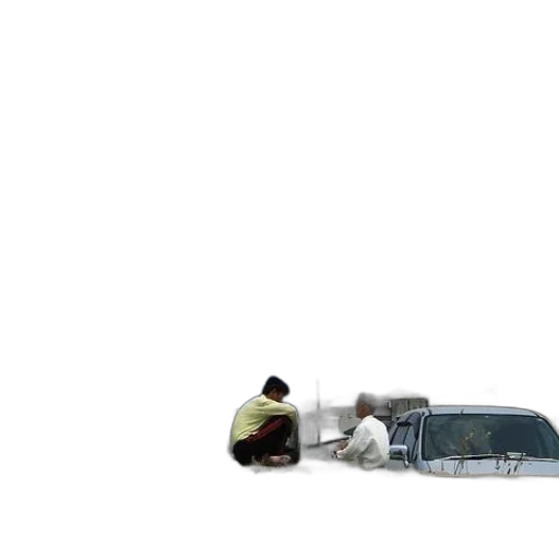car, umbrella, weapon, animal transparent PNG cut-out