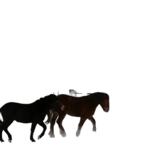 animal, staff, jewelry, creature transparent PNG cut-out
