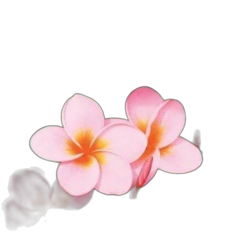 flower, jewelry, staff, crown transparent PNG cut-out