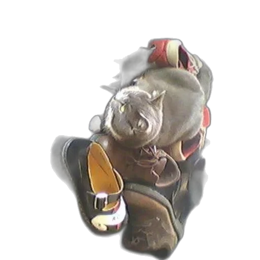 shoes, mask, face, creature transparent PNG cut-out