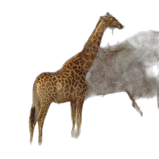 animal, creature, concept art, 3d render transparent PNG cut-out