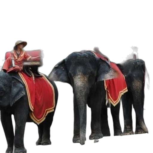 animal, staff, concept art, three transparent PNG cut-out