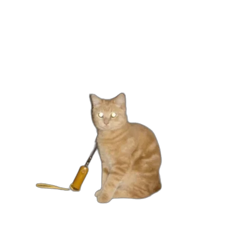 staff, animal, weapon, sword transparent PNG cut-out