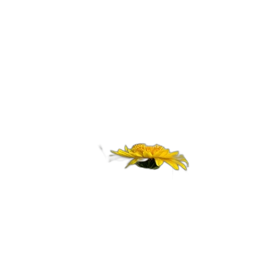 animal, flower, creature, dragon transparent PNG cut-out