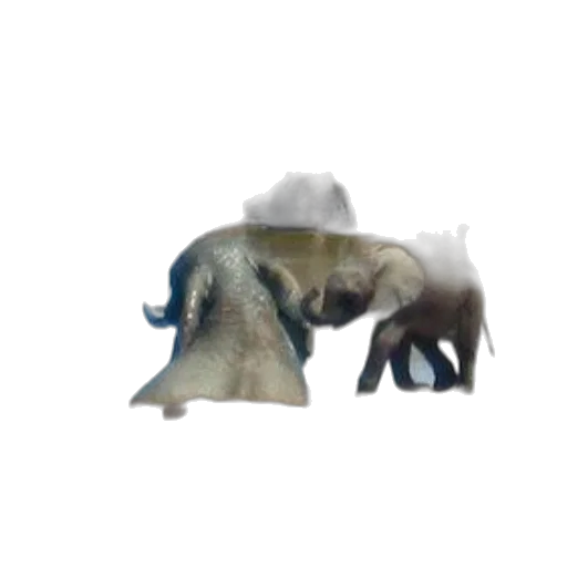 animal, creature, hat, weapon transparent PNG cut-out