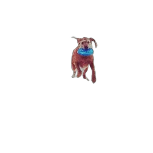 animal, creature, staff, jacket transparent PNG cut-out