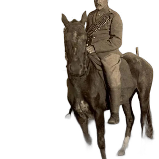 animal, staff, hat, creature transparent PNG cut-out