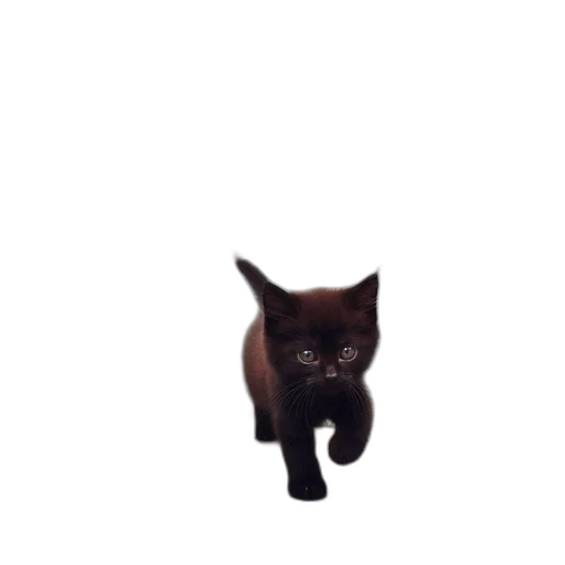 animal, creature, staff, robot transparent PNG cut-out