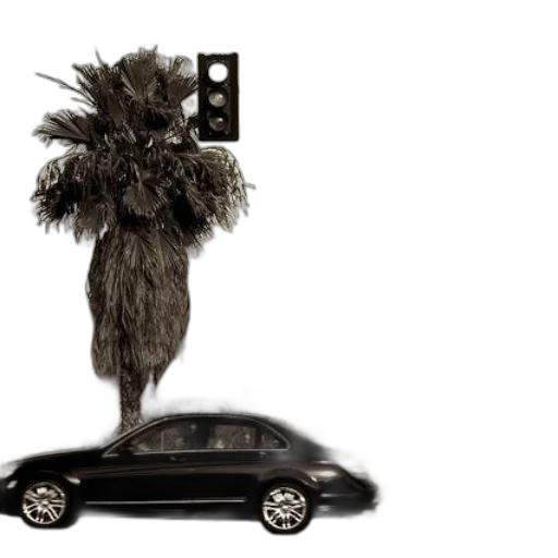 car, hair, animal, hat transparent PNG cut-out