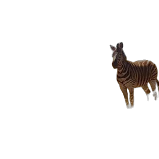 animal, creature, furniture, robot transparent PNG cut-out