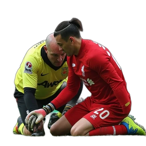 animal, liverpool, goalkeeper, joe transparent PNG cut-out