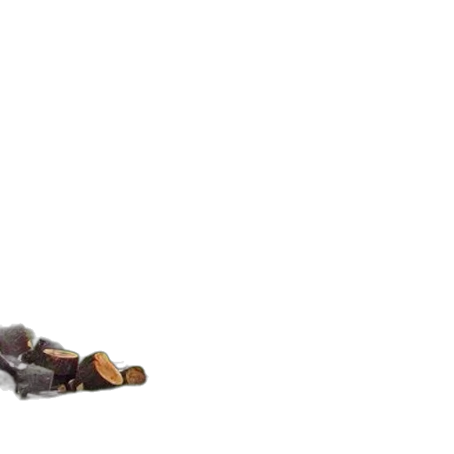 shoes, furniture, robot, food transparent PNG cut-out