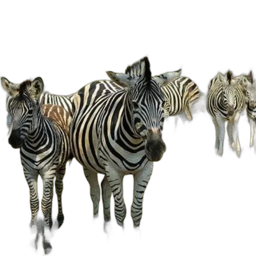 animal, creature, jewelry, 3d render transparent PNG cut-out