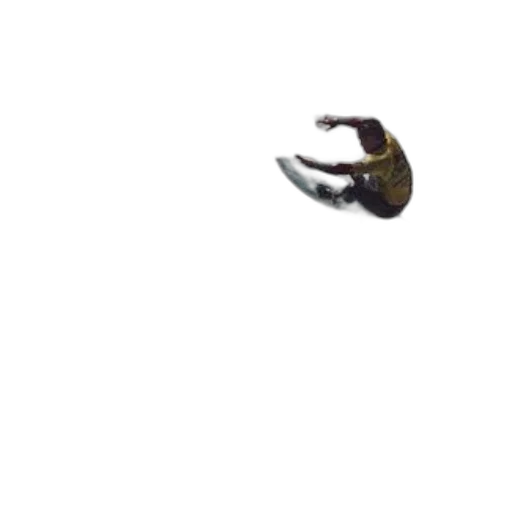 dragon, shoes, creature, animal transparent PNG cut-out