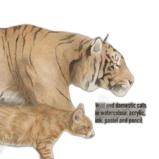 animal, creature, concept art, photorealistic transparent PNG cut-out